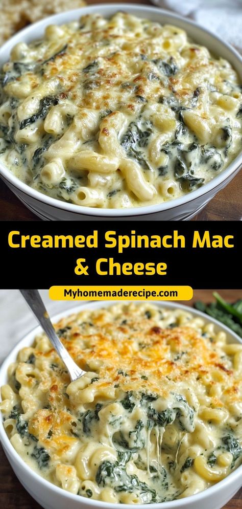 This creamed spinach mac & cheese is creamy, cheesy, and packed with tender spinach. A comforting twist on classic mac & cheese! Ingredients: 2 cups macaroni 1 cup spinach, cooked 1 cup cheddar cheese ½ cup milk Enjoy this creamed spinach mac & cheese for a cozy, cheesy dinner Spinach Macaroni And Cheese, Spinach Artichoke Mac And Cheese, Spinach Cream Pasta, Spinach Dishes Recipes, Creamy Spinach Recipes, Mac And Cheese Soup, Mac N Cheese Soup, Spinach Cooked, Spinach Mac And Cheese