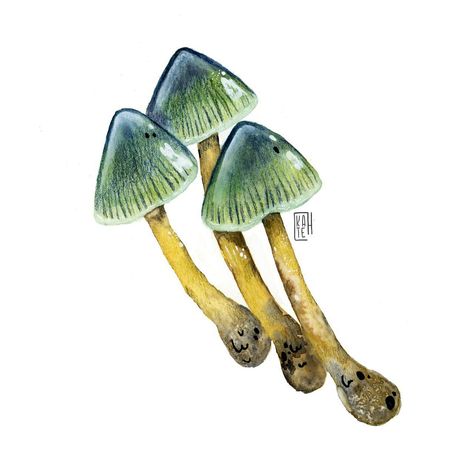 Day 22 of #fallfungimadness24 - Parrot waxcap 💛 Hosted by Sue @suefield66 and myself @tinykatecreates #illustration #illustrator #childrensbookillustration #fallillustration #watercolormushroom #watercolorbotanicals #painting #sketchbook #holbeinwatercolors #watercolorart #illustrator #illustrationartists #illustratorsoninstagram #illustrationartist Parrot Waxcap, Painting Sketchbook, Autumn Illustration, Illustrators On Instagram, Illustration Artists, Children's Book Illustration, Parrot, Watercolor Art, Sketch Book