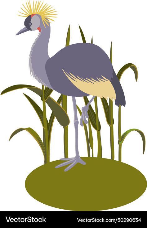 Black Crowned Crane, Crane Vector, Crane Drawing, Drawing Bird, Crowned Crane, Bird Sketch, Black Crown, Vector Drawing, Bird Drawings