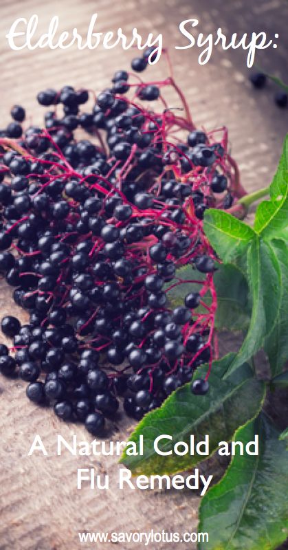 Elderberry Syrup: A Natural Cold and Flu Remedy -  savorylotus.com #coldandfluremedies #naturalremedies Elderberry Syrup Recipe, Homemade Elderberry, Elderberry Syrup, Cold Remedies, Syrup Recipe, Kew Gardens, Natural Health Remedies, Be Natural, Covent Garden