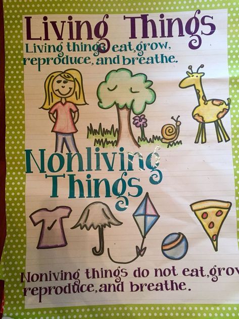 My Living Nonliving Anchor Chart Social Studies Anchor Charts 1st Grade, Living And Nonliving Things Kindergarten, Living Vs Non Living Anchor Chart, Living And Non Living Things Anchor Chart, Living And Non Living Things Chart, Living Vs Nonliving Kindergarten, Ckla Kindergarten, Plants Kindergarten, Pre-k Science