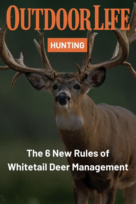 Whitetail hunting in America has boomed and busted. After years of record highs, harvests in many of the powerhouse deer states are down, and they’re staying down. The top deer experts around the country are accepting this as the new normal. So what have we learned? Let’s start with these six rules. Upland Bird Hunting, Deer Hunting Season, Whitetail Hunting, Whitetail Deer Hunting, Deer Hunting Tips, Deer Camp, Animal Attack, Big Game Hunting, Waterfowl Hunting