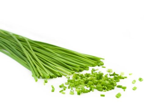 Learn why chives are so good for you, then try our mouthwatering chive recipes. Chive Seeds, Chives Recipe, Bacon Dip, Bbq Bacon, Healthy Bites, Fresh Chives, Herb Seeds, Seafood Dishes, Leeks