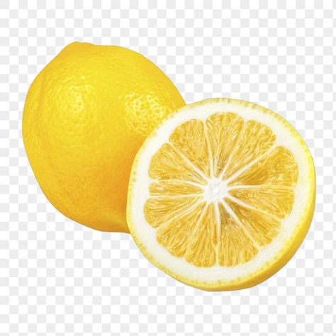 Lemon Png, Graphic Design University, Fruit Png, Vegetable Slice, Fruit Fruit, Fruit Vector, 3d Modeling Software, Graphic Design Cards, Lemon Fruit