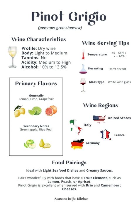 Discover everything about Pinot Grigio in this detailed infographic! From its light, zesty flavors to serving tips, food pairings, and the best wine regions like Italy. Save this for your next wine adventure! Pop over to our site for more info! Wine Infographic, Sauvignon Blanc Wine, Wine Variety, Chardonnay Wine, Wine Recommendations, Wine Flavors, Wine Knowledge, Food Pairing, Dry Wine