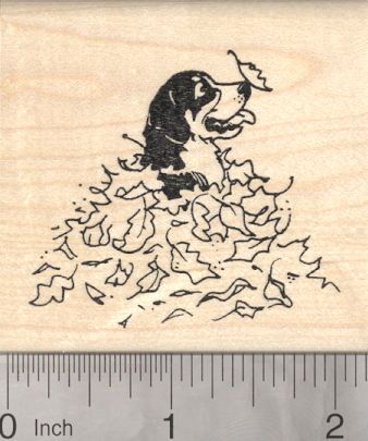 Leaf Pile, English Setter Dogs, Leaf Drawing, Beagle Dog, Autumn Leaf, Bernese Mountain, Bernese Mountain Dog, Dog Drawing, Mountain Dogs