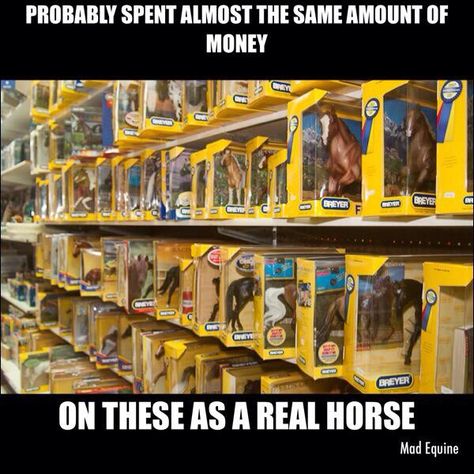 Schleich Horses Stable, Equestrian Memes, Horse Jokes, Bryer Horses, Toy Horses, Horse And Human, Breyer Horse, Mustang Horse, Fantasy Horses