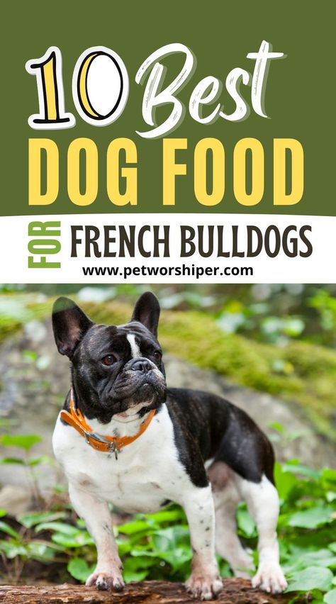 French Bulldogs Puppy Formula, French Bulldog Breed, Make Dog Food, Dog Wellness, French Dogs, Bulldog Breeds, Perfect Diet, French Bulldog Dog, Royal Canin