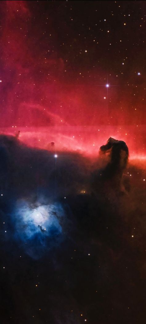 IC-434 The Horsehead Nebula cropped mobile wallpaper 1080x2400 Horsehead Nebula, Space Photography, Out Of This World, Space Art, Mobile Wallpaper, Astronomy, My Images, Solar, Universe