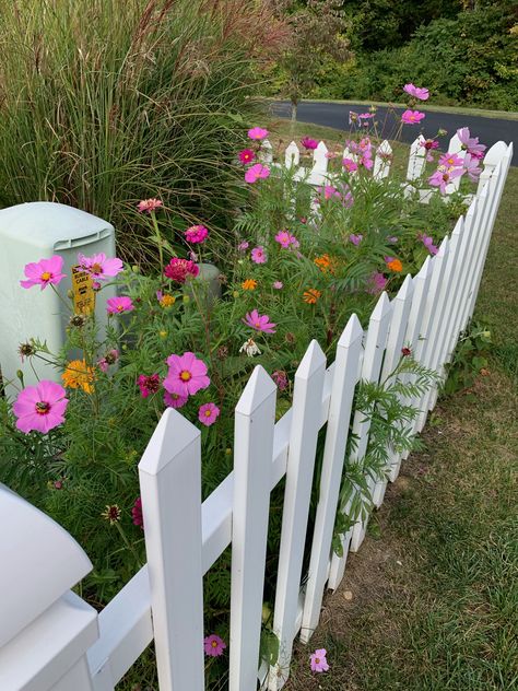 Wild Flowers Front Yard, Flowers Front Yard, Indoor Garden Rooms, House With Porch, Patio Landscaping, Vertical Garden, Garden Room, Indoor Garden, Water Features