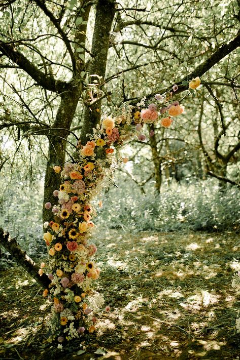 Wedding Arch Between Two Trees, Tree Ceremony Backdrop, Wedding Arbor Alternative, Tree Installation Wedding, Tree Wedding Arch, Field Wedding Ideas, Flower Field Wedding, Tree Installation, Tree Arch