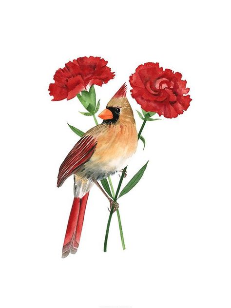 Ohio Northern Cardinal Print Small Cardinal Tattoo, Cardinal Drawing, Cardinal Birds Art, Cardinal Tattoos, Cardinal Print, Watercolor Lotus, Tulip Tattoo, Forest Tattoos, Common Birds