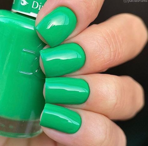 Daisy Nail Designs, INC. on Instagram: "Feelin’ oh so lovely in this brand new green, #DivineGreen DND790 👑💚" Mail Color, Future Nails, Aqua Nails, Cnd Nails, Band Nails, Dnd Gel Polish, Powder Nail Polish, Green Nail Designs, Forest Adventure