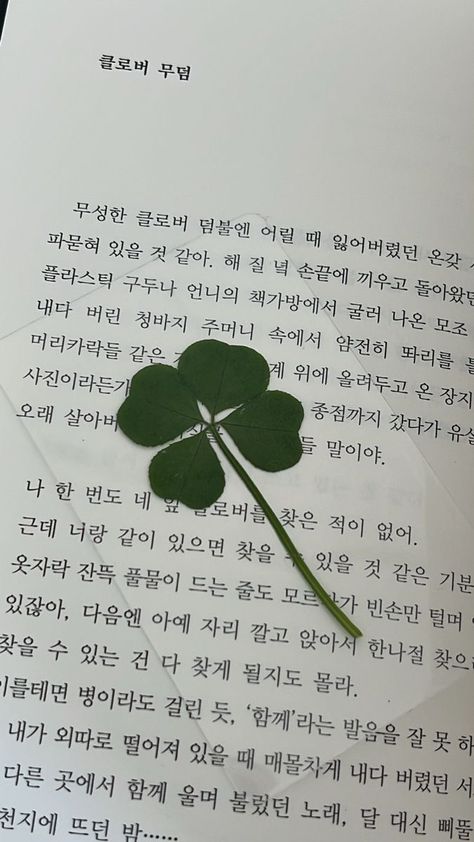 Four Clover Leaf, Disney Movie Art, Wallpaper Computer, Korean Language Learning, Mood And Tone, Funny Phone Wallpaper, Iphone Wallpaper Photos, Aesthetic Background, Instagram Feed Ideas