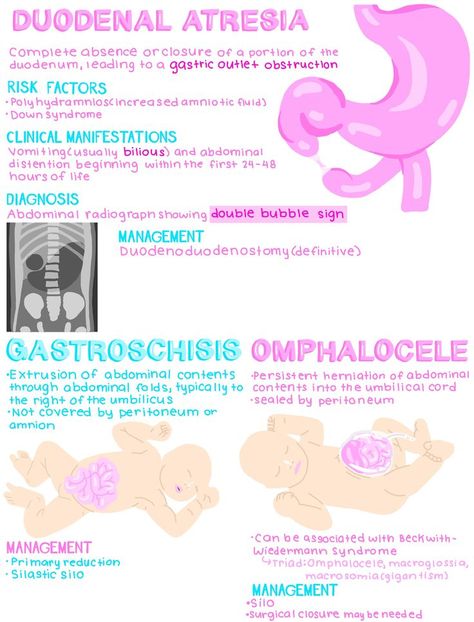 Pediatric Gi Disorders Nursing, Pediatric Nursing Study, Obstetric Ultrasound, Nursing School Life, Aesthetic Medical, Nurse Teaching, Medical Notes, Ultrasound Technician, Nursing School Essential