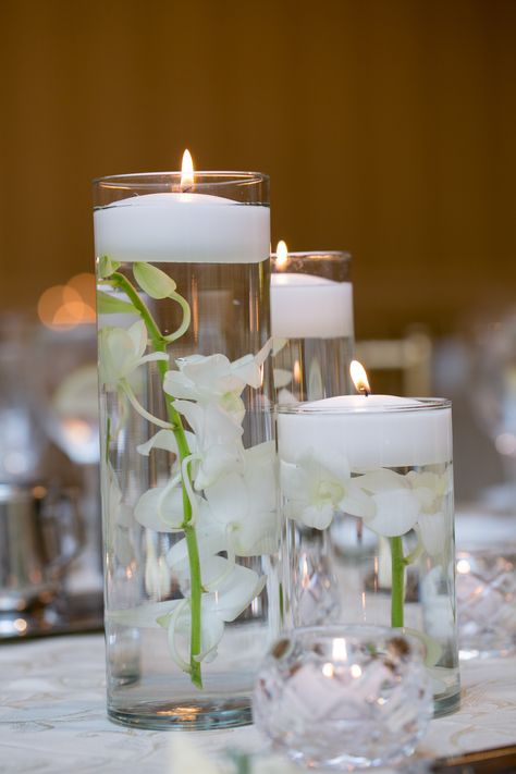 Dendrobium orchids in cylinders...simplicity at its best #belfioremn #stpaulhotel Cylinder Centerpieces, White Dendrobium Orchids, Table Setting Wedding, Candle Designs, Vase Flowers, Dendrobium Orchids, White Weddings, Reception Flowers, October 15