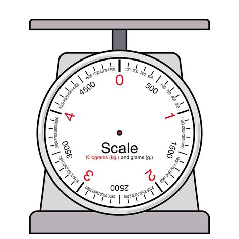 Measuring Mass, Digital Weighing Scale, Writing Forms, Scale Drawing, Math Work, Math Words, Weight Scale, Book Report, Word Puzzles