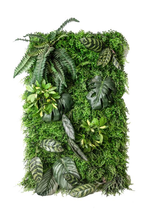 Plant Wall Interior Design, Wall Interior, Entrance Door Design, Entrance Door, Entrance Doors, Plant Wall, Door Design, Entrance, Filter