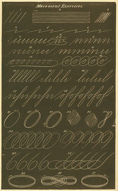 spencerian handwriting exercises Spencerian Penmanship, Caligrafia Copperplate, Handwriting Examples, Calligraphy Tutorial, Copperplate Calligraphy, Handwriting Styles, Calligraphy For Beginners, Calligraphy Practice, Hand Lettering Alphabet