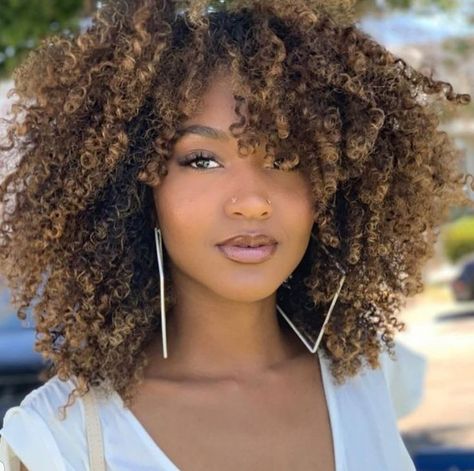 Afro Hair Blonde Highlights, Natural Hair With Blonde Highlights, Colored Afro Natural Hair, Highlights Afro Hair, Afro Colored Hair, Honey Blonde 4c Natural Hair, 4c Hair Highlights, Natural Hair With Highlights, Blonde Highlights Natural Hair