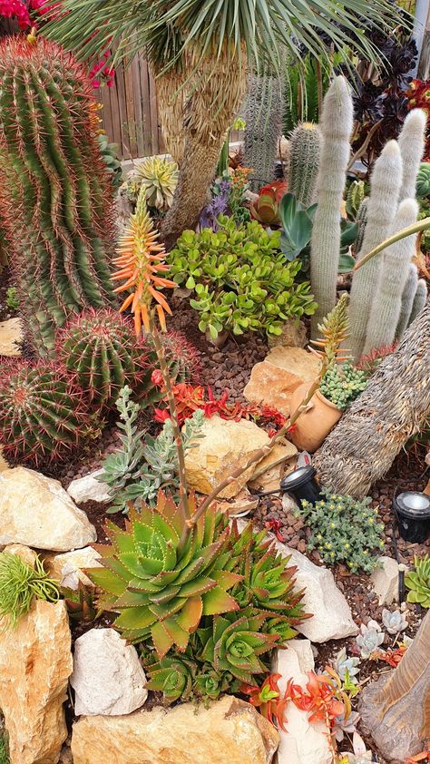 Gardening Tattoo, Desert Landscape Design, Cactus Garden Landscaping, Succulent Rock Garden, Tools Tattoo, Gardener Aesthetic, Rockery Garden, Garden Aesthetics, Garden Nails