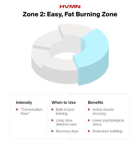 why run in zone 2 Zone 2 Running, Zone 2 Training, Build Endurance, Heart Rate Training, Aerobic Workout, Target Heart Rate, Heart Rate Zones, Speed Workout, Power Walking