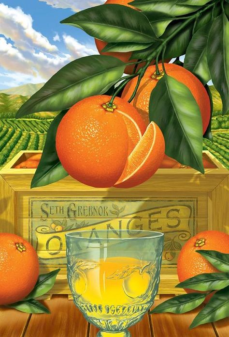 Florida Nostalgia, Florida Souvenirs, Orange Crate Labels, Florida Backyard, Vintage Art Posters, Vintage Fruit Crate Label, Modern Advertising, Vegetable Crate Labels, Fruit Labels