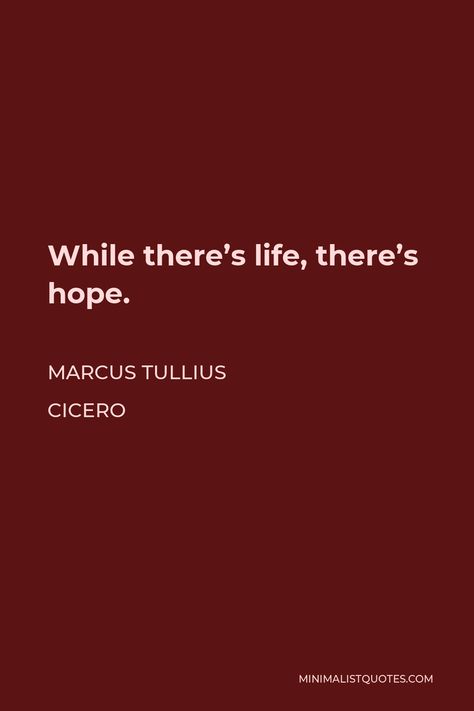 Marcus Tullius Cicero Quote: While there's life, there's hope. Cicero Quotes, Action Prompts, Marcus Tullius Cicero, Study Philosophy, The Body Book, One Liner, Good And Evil, Happy Life, Philosophy