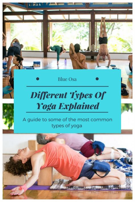 Different Types of Yoga Explained Yoga Basics, Yoga Woman, Nature Yoga, Learn Yoga Poses, Basic Yoga Poses, Different Types Of Yoga, Meditation Tips, Workout Quotes, Cholesterol Remedies