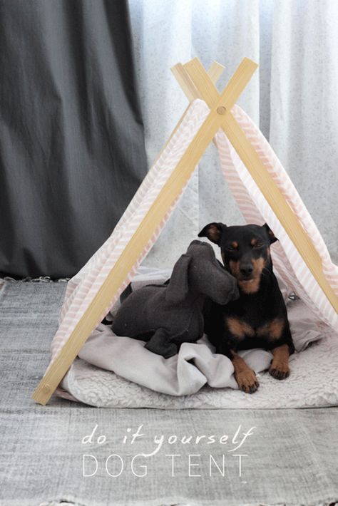 Dog Tent Bed, Dog Teepee, Dog Tent, Tent House, Dogs Diy Projects, Diy Tent, Dog House Diy, Bed Tent, Dog Rooms