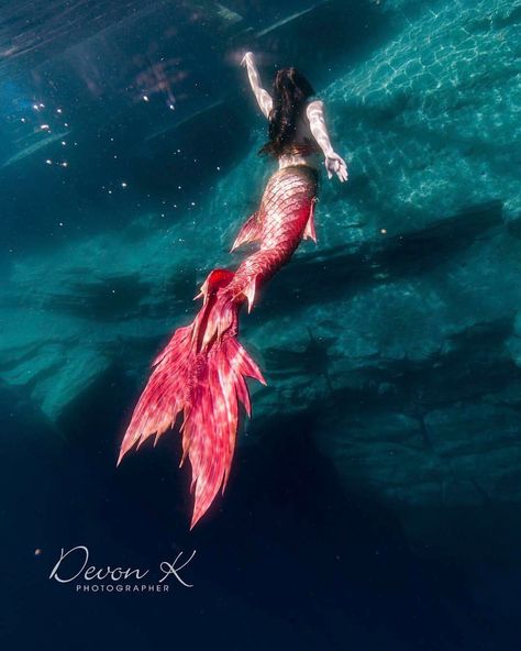 Swimmable Mermaid Tail, Realistic Mermaid, Mermaid Photography, Silicone Mermaid Tails, Mermaid Man, Fantasy Mermaids, Red Mermaid, Mermaid Swimming, Real Mermaids