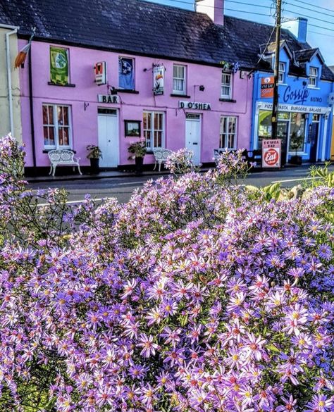 https://twitter.com/PicPublic/status/1227656657339142147/photo/1 Ireland Pubs, Bobby Sands, County Sligo, Limerick City, Galway City, County Galway, Love Ireland, County Clare, Cascade Waterfall