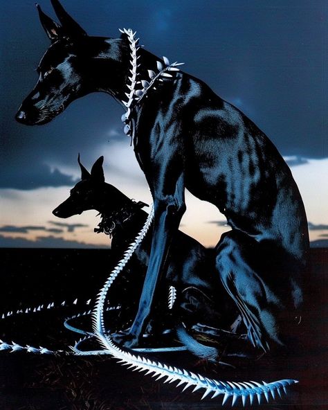 Bad Dog, Baby Dogs, The Villain, Doberman, Surreal Art, Art Plastique, Art Reference Photos, Cuteness Overload