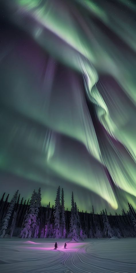 Northern Lights Wallpaper, Aurora Wallpaper, Northern Lights Photography, Aurora Borealis Northern Lights, Pretty Landscapes, Foto Poses, Amazing Pictures, Style Fall, Nature Aesthetic