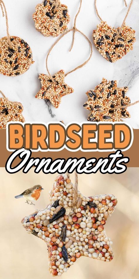 This easy Birdseed Ornaments recipe is a fun way to feed your feathered friends and makes a tasty treat to hang on trees and bushes in the backyard. It only takes 15 minutes and 3 ingredients (plus water) to form these beautiful bird feeders, filled with healthy bird-safe food and hung where birds can find them. Birdseed Ornaments Recipe Easy, Birdseed Ornaments Recipe, Birdseed Cakes, Bird Seed Crafts, Preschool Birds, Bird Seed Ornaments Recipe, Suet Recipe, Seed Ornaments, Birdseed Ornaments