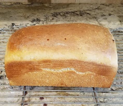 Salt Rising Bread Recipe, Salt Bread Recipe, Salt Rising Bread, Sandwhich Bread, Bread Crumbs Recipe, Rhyme Or Reason, Crumb Recipe, Bread Maker Recipes, Dry Bread