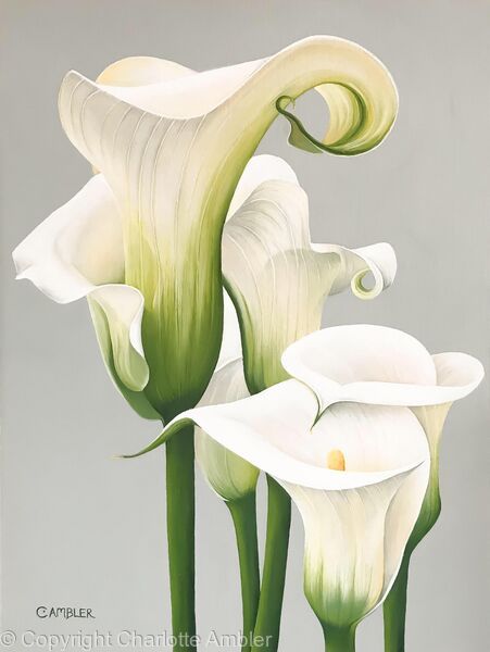 Calla lily flowers