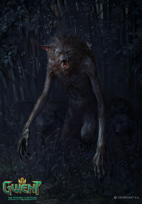 Werewolf Card, Witcher Monsters, Alpha Werewolf, The Witcher Books, Witcher Art, Werewolf Art, Vampires And Werewolves, Dark Images, Creatures Of The Night