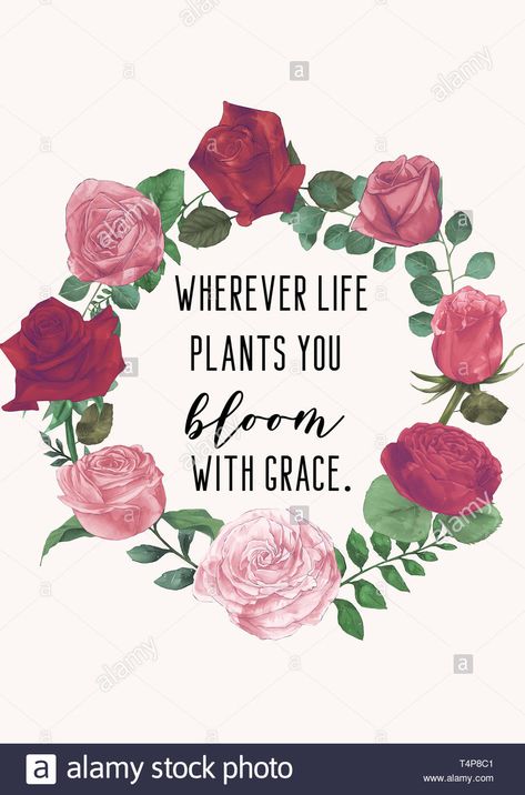 Wherever life plants you, bloom with grace. Floral wreath. Life inspiring quotes. Growth quotes Stock Photo: 243893329 - Alamy Plants Quotes Life Inspiration, Floral Inspirational Quotes, Quotes Growth, Bloom Quotes, Bloom With Grace, Floral Quotes, Plants Quotes, Growth Mindset Quotes, Buddhist Quotes