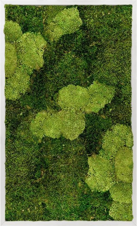 Moss Wall, Color Names, Office Furniture, The 100, Art