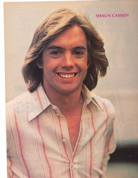 Parker Stevenson, Joe Hardy, Shaun Cassidy, Teens Movies, Hardy Boys, Great Smiles, David Cassidy, Boy Pictures, Vintage Pinup