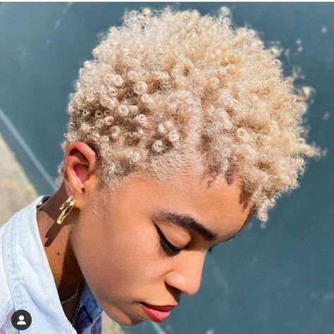 Afro Hair Color, Natural Tapered Cut, Blonde Twa, Black To Blonde, Blonde Afro, Blonde Natural Hair, Short Natural Haircuts, Natural Hair Cuts, Natural Hair Short Cuts