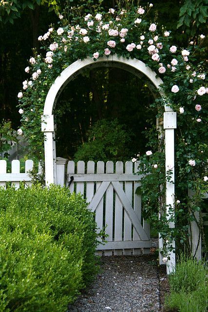 Climbing roses on rose covered arbors are everywhere on Nantucket.  Absolutely beautiful and many bloom all summer long. Cerca Natural, White Gate, Landscaping Along Fence, Taman Diy, Garden Gate Design, Wall Climbing, Jardim Diy, Garden Vines, Garden Arbor