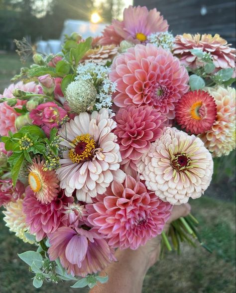 Cut Flower Farm, Boquette Flowers, Flower Farmer, Cut Flower Garden, Wildflower Bouquet, Flower Therapy, Beautiful Bouquet Of Flowers, Beautiful Flower Arrangements, Dahlia Flower