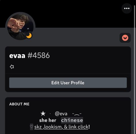 Aesthetic Discord Status Ideas, Nitro Ideas Discord, Aesthetic Discord About Me Ideas, Discord Bios Ideas Aesthetic, Discord Profile Layout Ideas, Discord Bio Layout Ideas, Discord Layout Ideas Profile No Nitro, About Me Inspo Discord, Discord Profiles Aesthetic