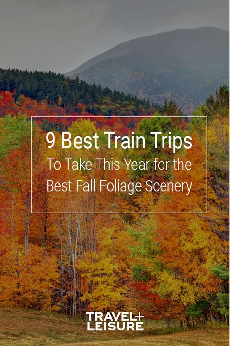 Whether you’re on a solo leaf-peeping excursion or have your children in tow, the train does all the work for you. All you have to do is sip on your to-go cup of steaming hot cider or pumpkin spice coffee, sit back, and enjoy the ride. #TrainRides #Fall #FallVacation #FamilyVacation #Travel #TravelIdeas #FallScenery #Beauty #Photography | Travel + Leisure - The Best Fall Foliage Train Trips to Take This Year Fall Foliage Train Rides, Fall Weekend Trip, Fall Weekend Getaway, Fall Foliage Trips, Fall Foliage Road Trips, Train Vacations, Train Trips, Train Trip, Fall Road Trip