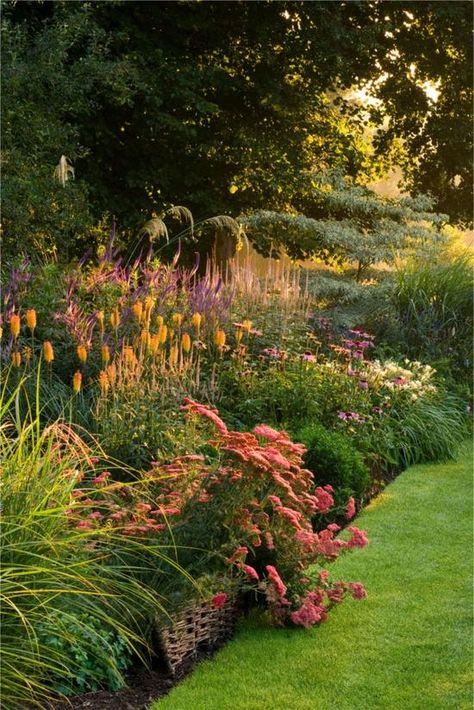 Have Inspiration, The Secret Garden, Garden Borders, Perennial Garden, Gorgeous Gardens, Garden Cottage, Country Gardening, Garden Spaces, Shade Garden