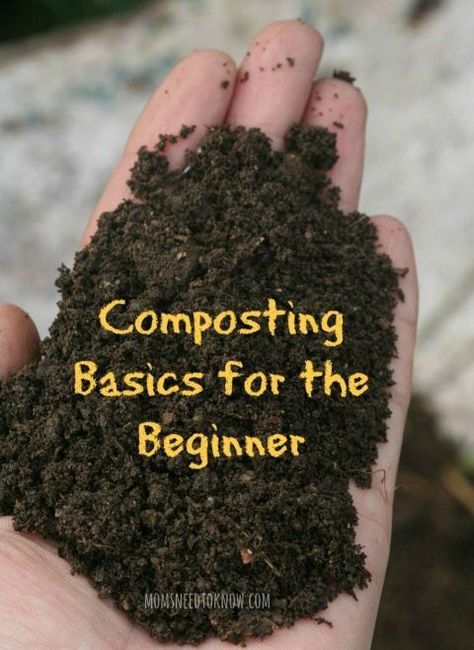 Composting Basics for the Beginner How To Get Started With Composting Beginner Gardening, Garden Compost, Square Foot Gardening, Earthworms, Organic Gardening Tips, Composting, Organic Vegetables, Garden Soil, Veggie Garden