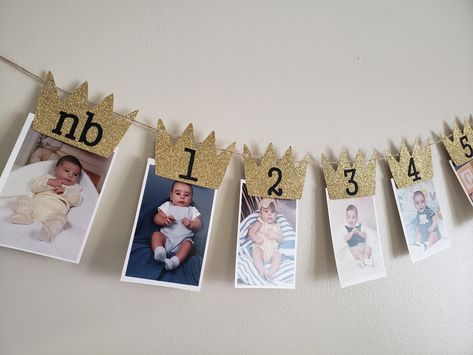 Birthday Picture Banner, Photo Banner First Birthday, Wild One Banner, Birthday Room Decorations, First Birthday Photo, Picture Banner, One Banner, Birthday Photo Banner, Wild One Birthday