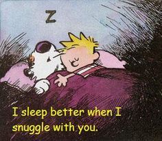 So lets cuddle up. :) Hobbes And Bacon, Calvin Und Hobbes, Calvin And Hobbes Quotes, Calvin And Hobbes Comics, Calvin And Hobbes, Fun Comics, A Cartoon, A Drawing, A Boy